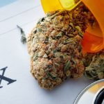 Simple Tips for Making The Most Of Your Medical Cannabis Regimen